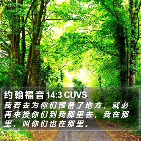 你是葡萄樹|約 翰 福 音 15,约翰福音 15 CUV;CCB